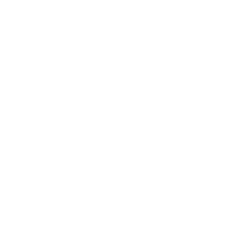 Blu Logo